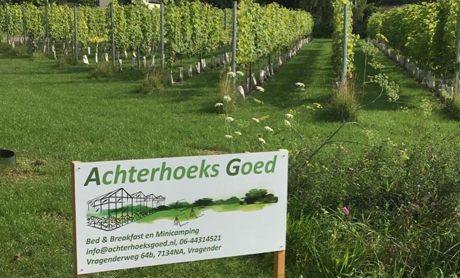 Achterhoeks Goed, Minicamping In Vragender Εξωτερικό φωτογραφία